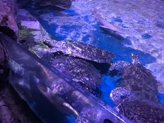 -皇家极地海洋世界-售票处