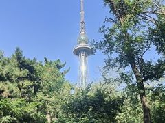 -青岛电视塔