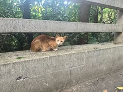 -广州市白云山风景名胜区