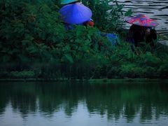 -南国桃园旅游度假区