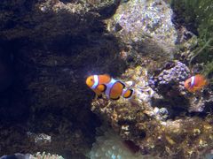 -常州海昌海洋探索馆