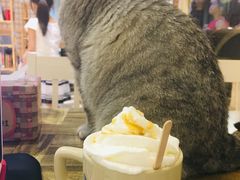 -小时光咖啡馆(开森度假森林店)