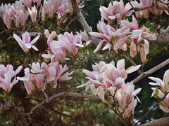 -北京友谊宾馆·俄罗斯餐厅
