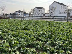 -乡乐园蟹庄·阳澄湖农家乐