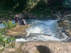 -广州白江湖森林公园