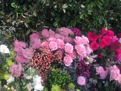 -The Grounds of Alexandria