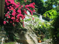 -好久不见网红乐队酒吧(鼓浪屿海底世界店)