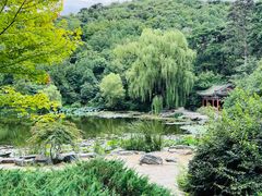 -香山公园