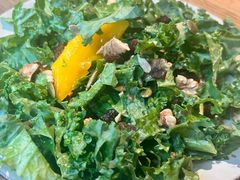 -Wagas沃歌斯(大学路店)