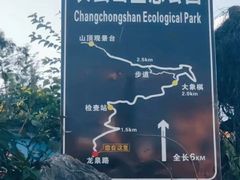 -长虫山生态公园风景林