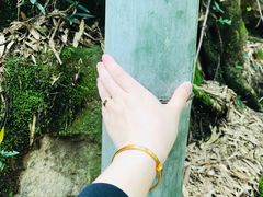 -众神白水涧景区