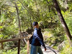 -北京上方山国家森林公园