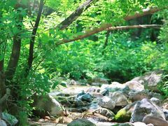 -玉渡山自然风景区