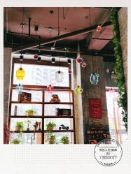 -T.1 hair salon烫染接发