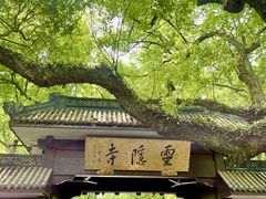 -普陀山慧济禅寺