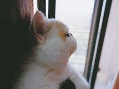 -PETKIT小佩宠物(古北店)