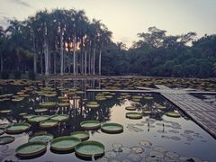-中国科学院西双版纳热带植物园