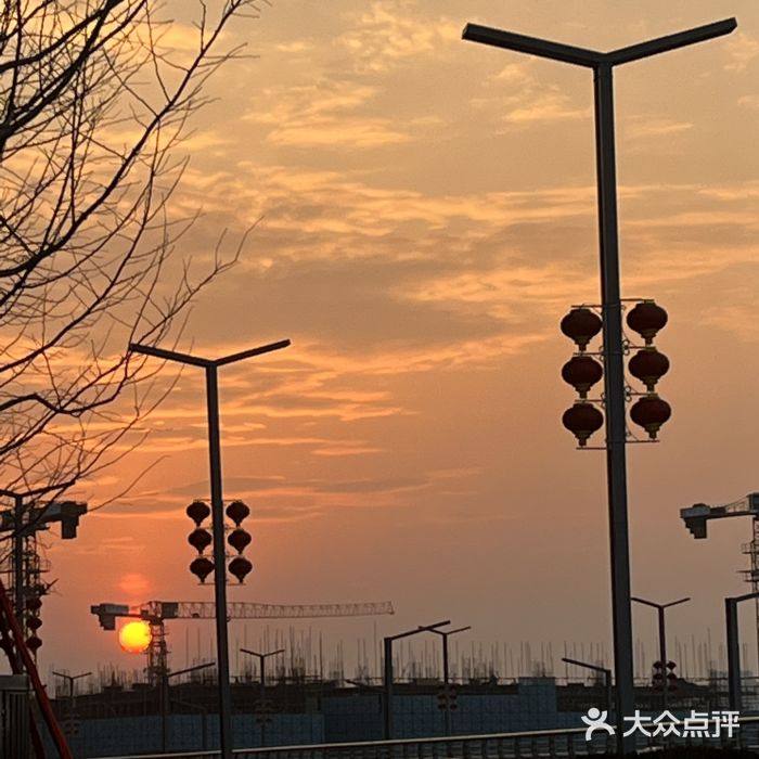 北龙湖湿地公园图片