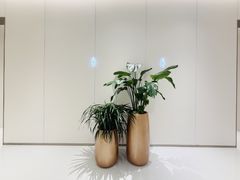 -万达广场(南昌红谷滩店)