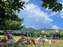 -三亚亚龙湾天域度假酒店