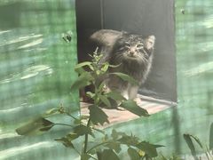 -青藏高原野生动物园
