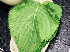苏子叶-海花锅盖烧烤店(怡馨家园店)