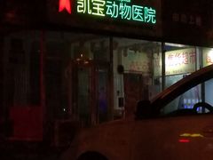 -悦宠凯宝动物医院·牙科·皮肤科(朝阳北路店)