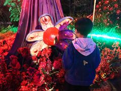-成都欢乐谷