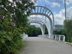 -九里河湿地公园