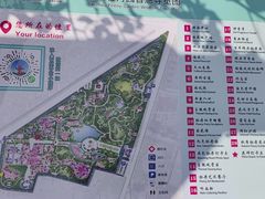 -曹州牡丹园