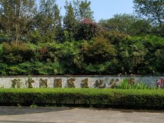 -重庆彩云湖湿地公园