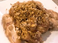 -百利鸽王(紫薇路店)