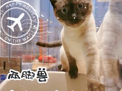 -狗道宠物(常熟印象城店)