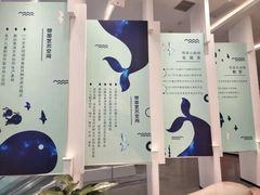 -荷苗艺术空间