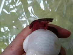 -百果园(领馆国际城店)