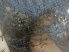 -水晶之星洗浴温泉汗蒸