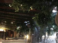 -中铁花水湾温泉酒店(大邑店)
