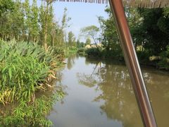 -桤木河湿地公园