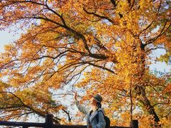 -广州市石门国家森林公园