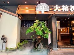 -大榕树下顺德菜(融创茂店)