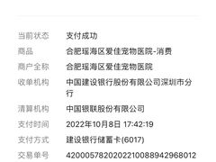 -爱佳宠物中心医院·骨外科·猫专科·急重症(瑶海万达店)