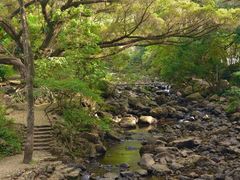 -广州市石门国家森林公园