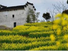 -新安江山水画廊风景区