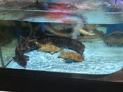 -阿伟海鲜楼·福建菜(延寿店)