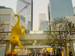 -深圳湾万象城(南山店)