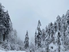 -瓦屋山景区
