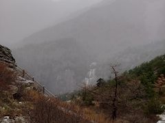 -朱雀国家森林公园