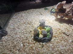 -顺德南宏海立方海洋公园