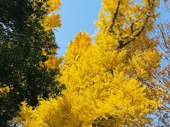 -狼山风景名胜区