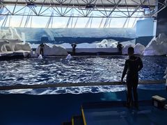 -秦皇岛乐岛海洋王国